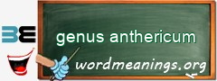WordMeaning blackboard for genus anthericum
